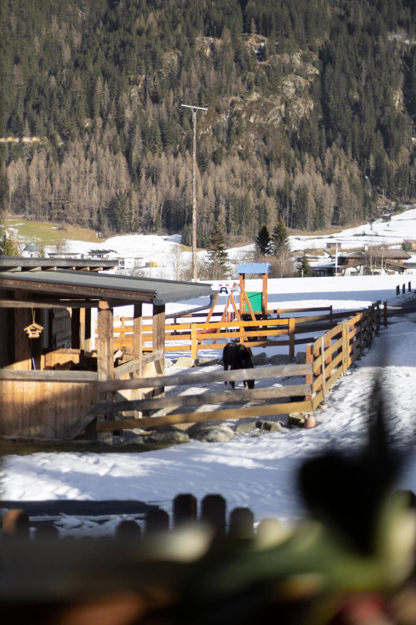 Ferienhaus Tirol Im Oetztal Umhausen Εξωτερικό φωτογραφία