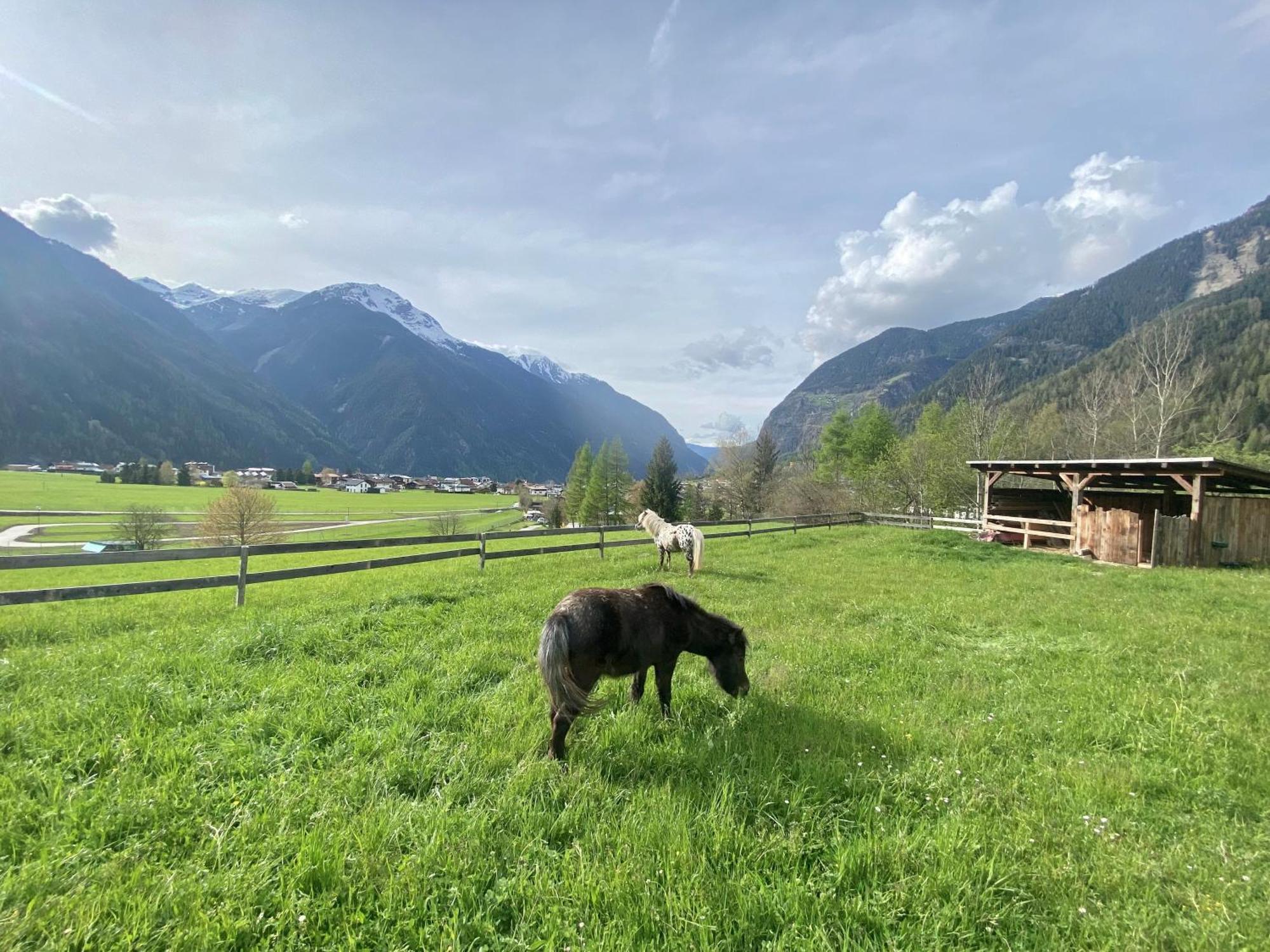 Ferienhaus Tirol Im Oetztal Umhausen Εξωτερικό φωτογραφία